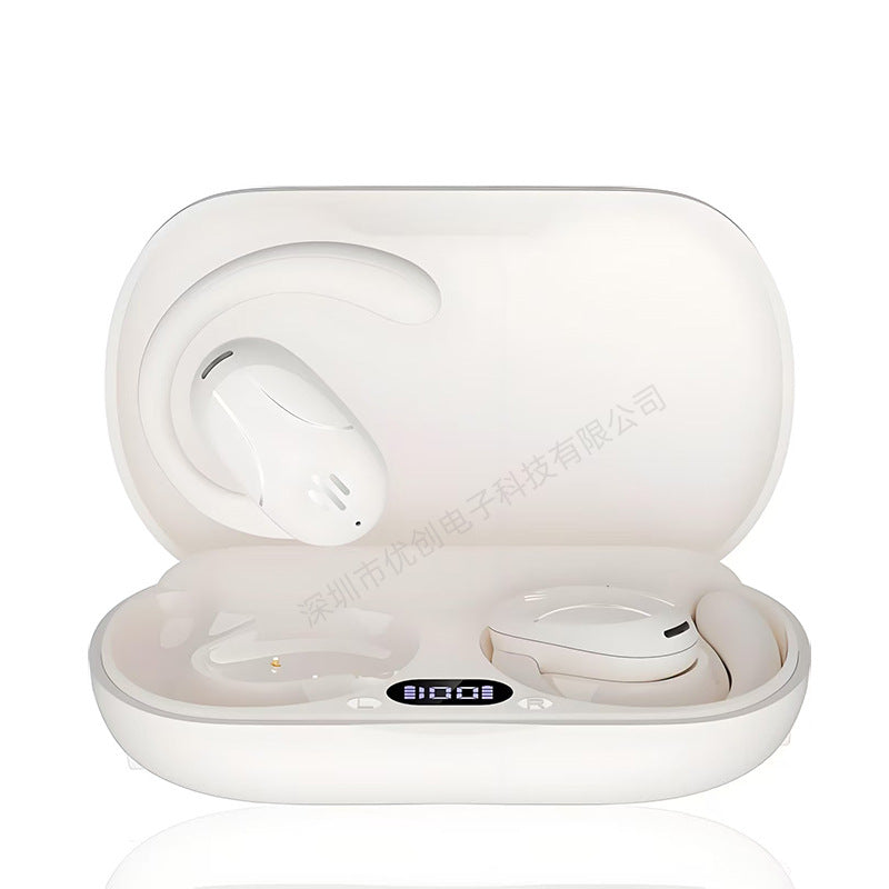 Real-time translation of earplugs