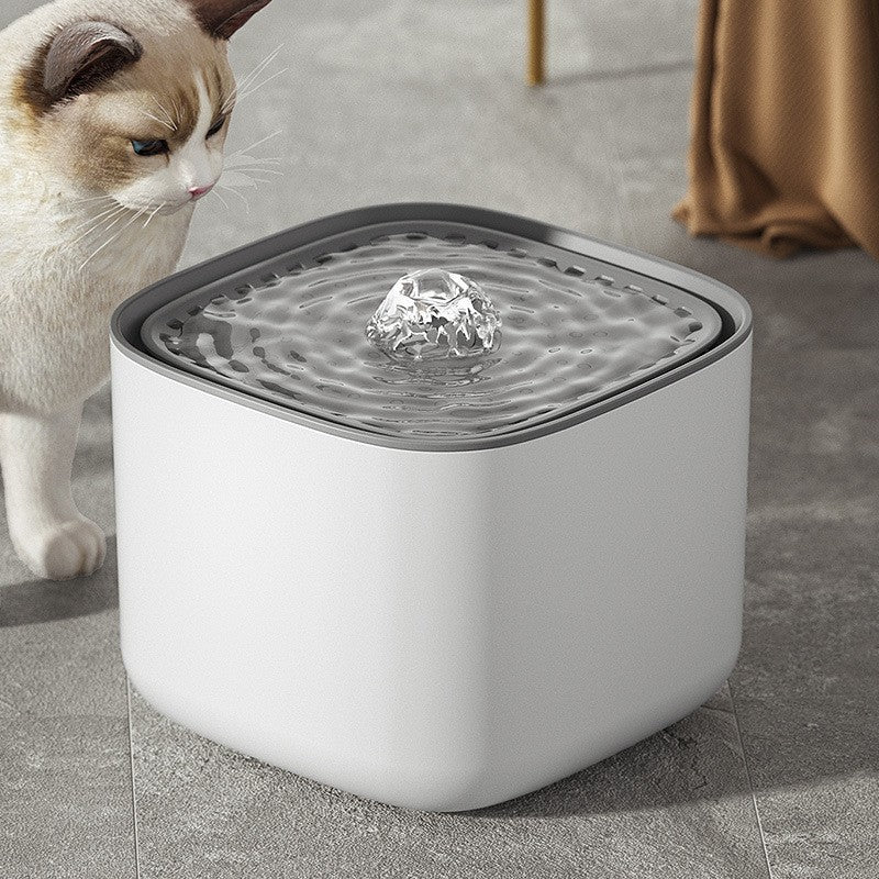 Pet Water Dispenser