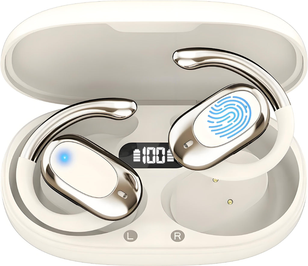 Real-time translation of earplugs