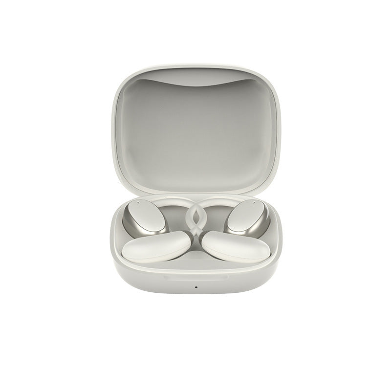 Real-time translation of earplugs